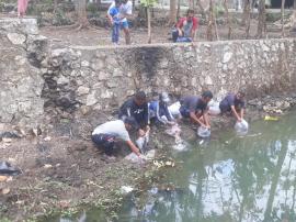 Berbagai Jenis Ikan Ditebar di kali Njambusari