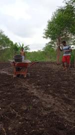 HUJAN LEBAT GEMBIRAKAN PETANI DI KALURAHAN NGAWU